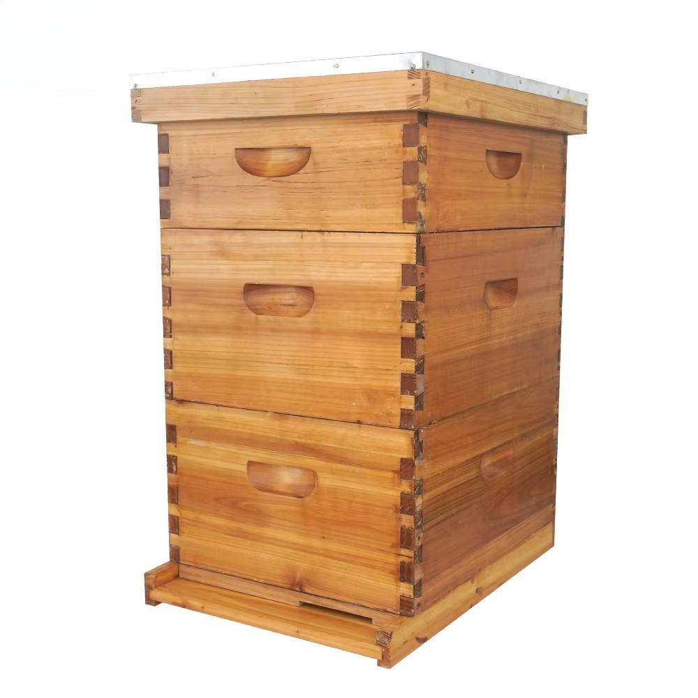 Complete 3-layer wax-soaked be - Beehive Frame Wax review and price