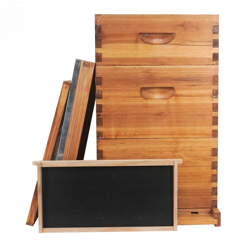 Complete 3-layer wax-soaked be - Beehive Frame Wax review and price