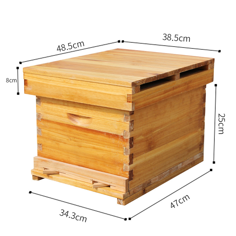 Bee beehive Full set of beekee - Beehive Frame Wax review and price